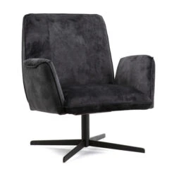 Fauteuil Met Armleuningen Velours