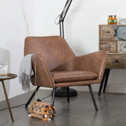 Leren Fauteuil Met Armleuningen