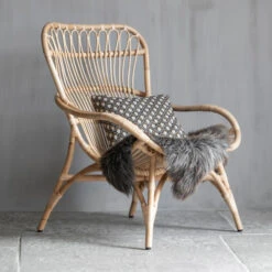 Rotan Fauteuil Naturel