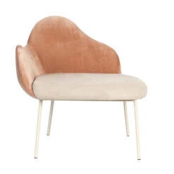 Zuiver Roze Fauteuil Organische Vormen